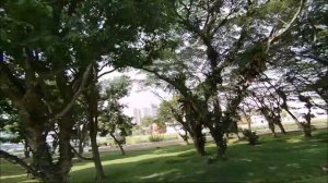 Testing my Runcam Split 4 on HGLRC KT20 Go-Kart drone