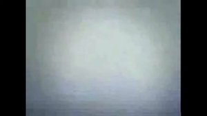 Снято как НЛО похищает корову