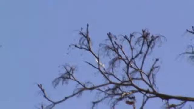 НЛО над Гольяново - Москва 5 апреля 2016 смотреть онлайн