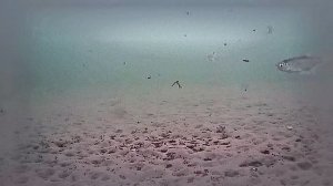 2025.01.27 РК Раскаты.