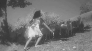 "Черная Чайка", 1962 г