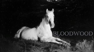 BucksYummy - Trouble