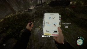 Летсплей по Sons of the forest