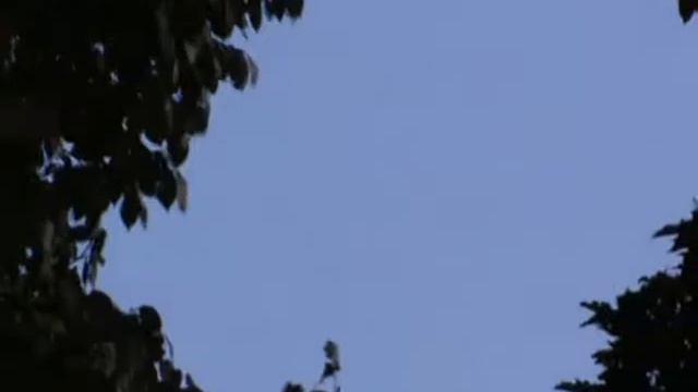 НЛО смотреть онлайн