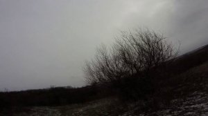 Закрытие сезона. Лиса норится. Охота с РГ Баян