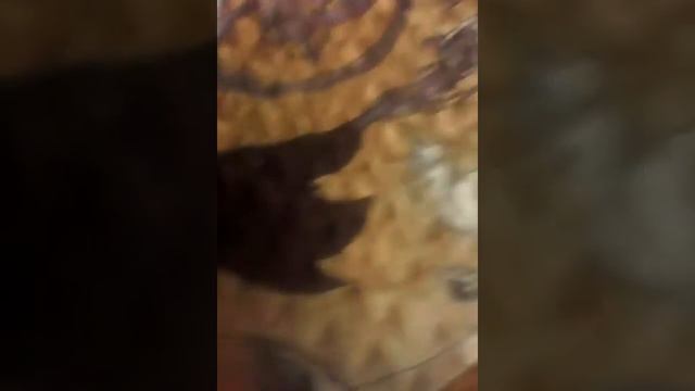 Покупки из канцелярии магазин Ашан смотреть онлайн