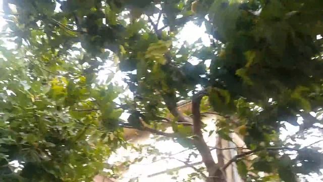 Просто Поморие сегодня смотреть онлайн