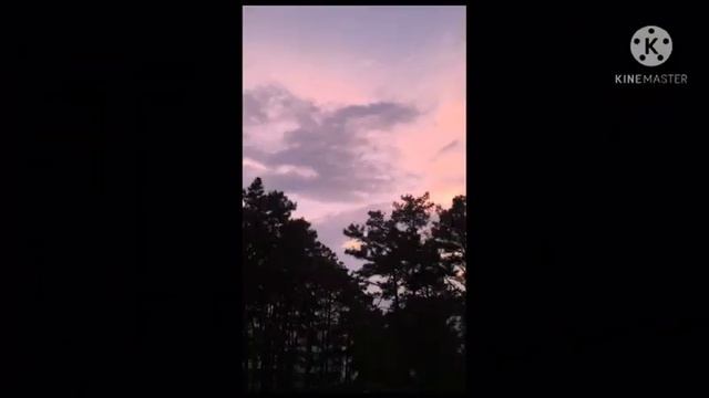 Virtual Exhibition, Department of Social Science (Classes VI to VIII) смотреть онлайн