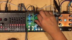 Cre8audio East Beast + Fjord Fuzz Bifrost V2 + Erica Synths LXR 02