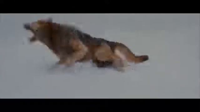 Сумерки Эту песню ищут все смотреть онлайн