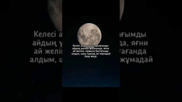 ай туралы мәлімет