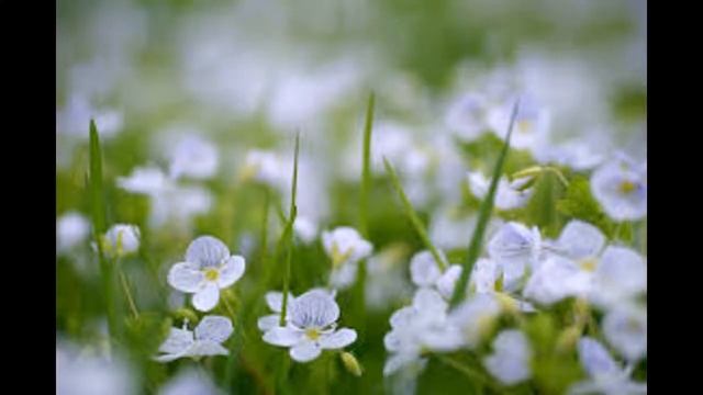 Ты в Божьих руках смотреть онлайн