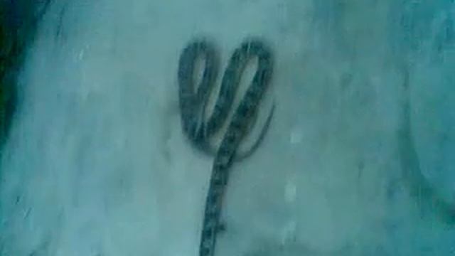 Mama na dusha , смотреть онлайн