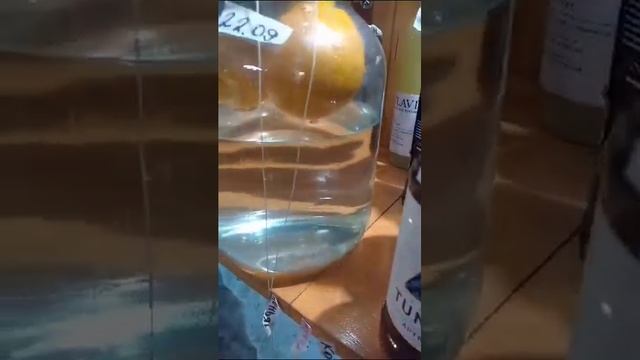 Вы подготовились к Новому году? Или Вы как и я не пьющий!? смотреть онлайн