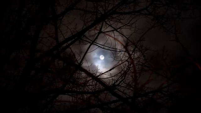 Full moon empty house 5 minutes relaxing music смотреть онлайн