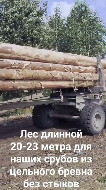 Лес для Срубов домов и бань. смотреть онлайн
