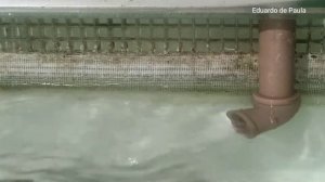 Bomba eletrônica Sunsun Jdp3500q Wi-fi