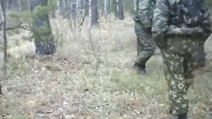 ПДБ ПОЛЕВОЙ ВЫХОД