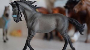 Обзор всех моих лошадей фирмы CollectA