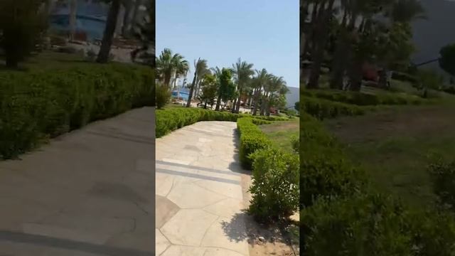 Daily walk at the Hilton Nubian Resort Marsa Alam Egypt смотреть онлайн