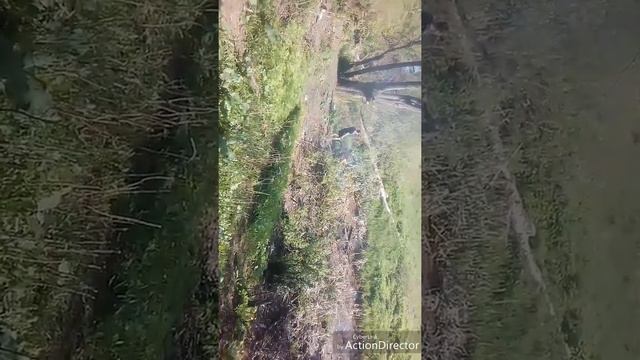 ИЖ ЮПИТЕР 5 смотреть онлайн