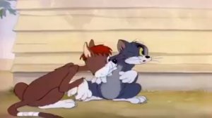 Том и Джери 2019 новый мутфилми