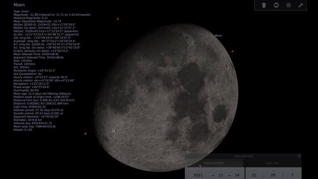 What's in the Night Sky: December 2021 смотреть онлайн