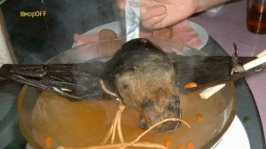 Топ 10 самых отвратительных деликатесов в мире