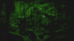 10 ДИНОЗАВРОВ, СНЯТЫХ НА КАМЕРУ