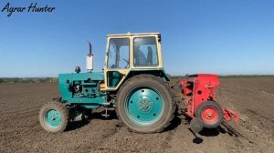 ПОСЕВНАЯ УСПЕШНО ЗАВЕРШЕНА! ЮМЗ-6