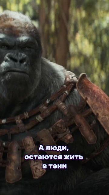 Цири😍Планета Обезьян: Новое Царство #новыефильмы #скоровкино #чтопосмотреть #новыефильмы #кино2023 смотреть онлайн