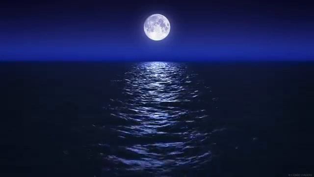 Sleep Music With Ocean and Jungle Sounds – Relaxing Blue Screen Scene – Ocean and Full Moon 1 смотреть онлайн