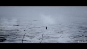Лобода 40 градусов