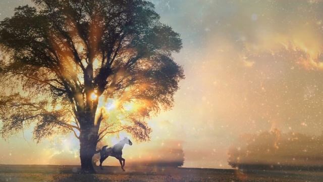 Входим в Равноденствие смотреть онлайн