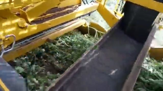 Ропа Кайлер - экстрим... смотреть онлайн