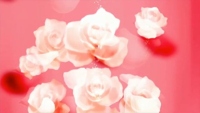 FOR ROSE LOVER/DIFFERENT ROSE COLOR/MOST BEAUTIFUL FLOWERS/NON COPYRIGHT смотреть онлайн