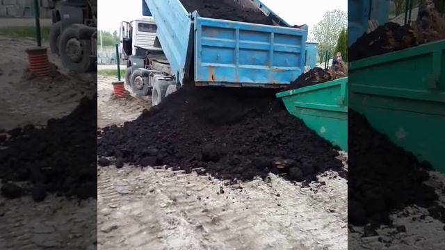 Привезли чернозём 🌱 смотреть онлайн