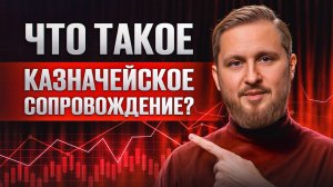 Казначейское сопровождение: Как избежать штрафов и ошибок при госконтрактах