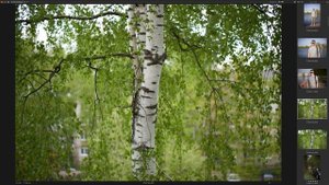 Meike 50mm F1.2 на полный кадр. Хочешь бокеху?