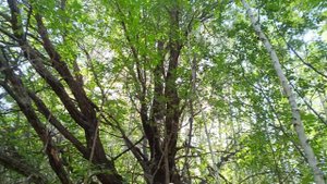 24 августа 2024 г.