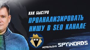 Как быстро проанализировать определенную нишу в SEO