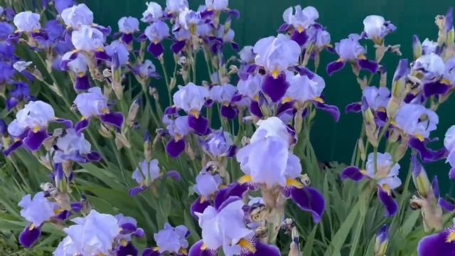 Хоть и болеешь но все же надо дышать свежим воздухом и попер гулять смотреть онлайн