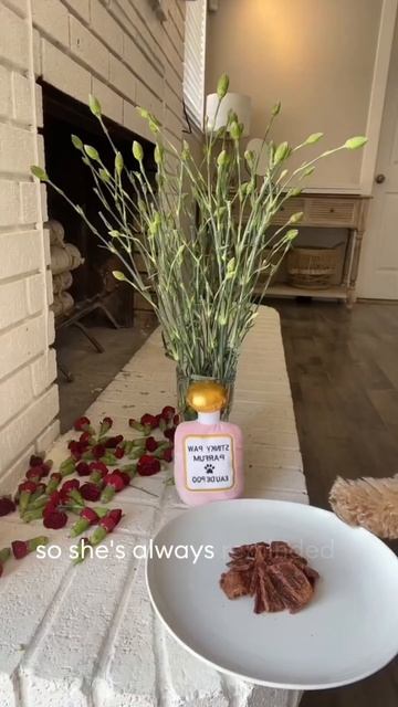 Only the best for mom on Mother’s Day! 💐 #mothersday #mothersdaygift #petsmart смотреть онлайн