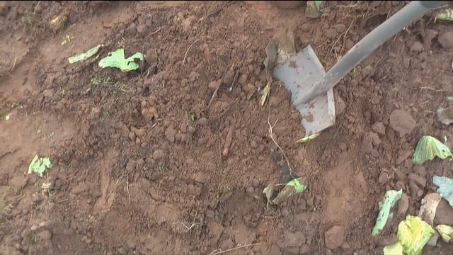 Коп на прошедших выходных смотреть онлайн