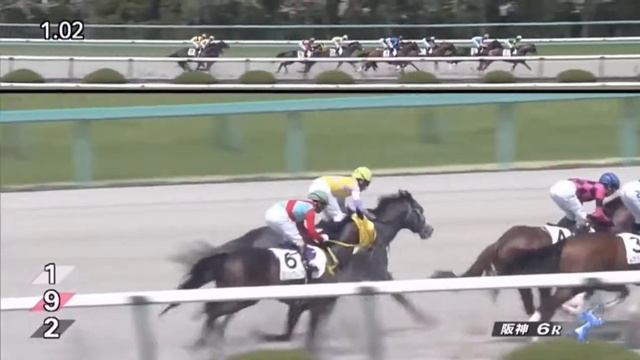 Admire Venera (JPN) wins race 6 at Hanshin 4/10/2022 смотреть онлайн