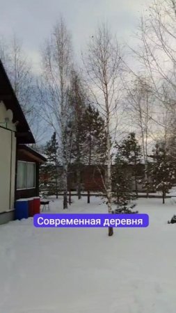 Современная деревня