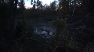 ОСЕННЯЯ ОХОТА НА УТОК И КУРОПАТОК - 2023