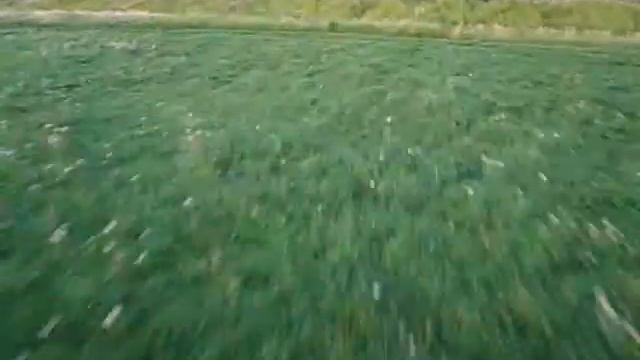 Углово 11 06 2009 Ветер в харю смотреть онлайн