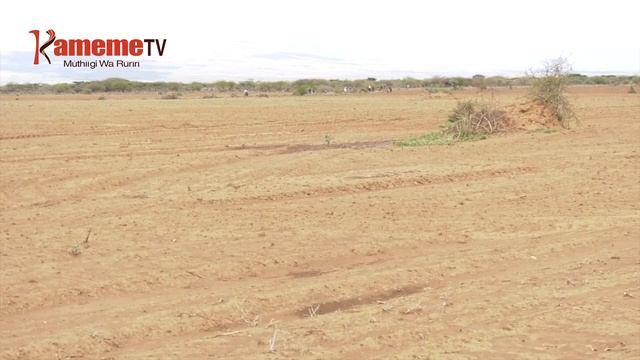 Amemba a Utheri wa Lari kũingĩra mũgũnda-inĩ wao Mai Mahiuthutha wa kĩhoto kĩao kwonekana смотреть онлайн