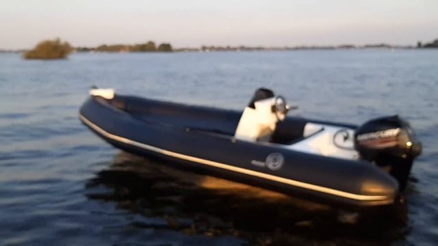 Wildcat 525 Sundeck Rib - Walk Around (With Mercury 40 hp Fourstroke) - Black and White смотреть онлайн